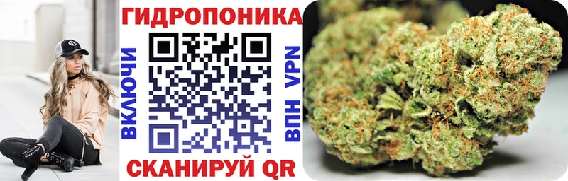 Магазины продажи наркотиков Саки Псилоцибиновые грибы  МЕФ  Cocaine  Alpha-PVP 