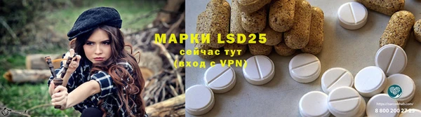 прущие грибы Алексеевка