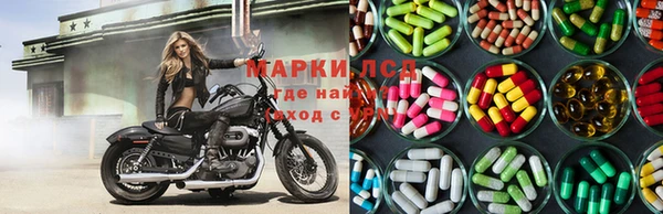прущие грибы Алексеевка