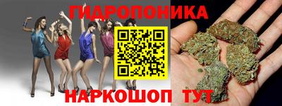 хмурый Пугачёв