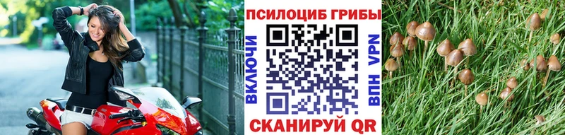 Псилоцибиновые грибы GOLDEN TEACHER  цена наркотик  Саки 