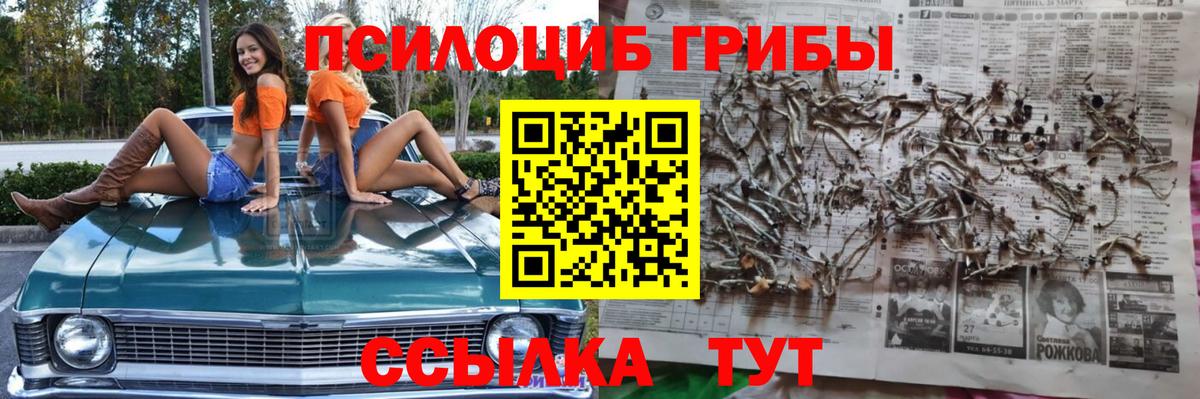 Псилоцибиновые грибы Magic Shrooms Саки