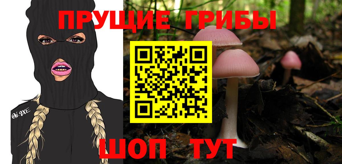 Саки  Галлюциногенные грибы Magic Shrooms  Вход с VPN  Псилоцибиновые грибы Cubensis 