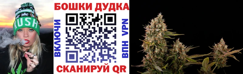 blacksprut как войти  Саки  Марихуана конопля 