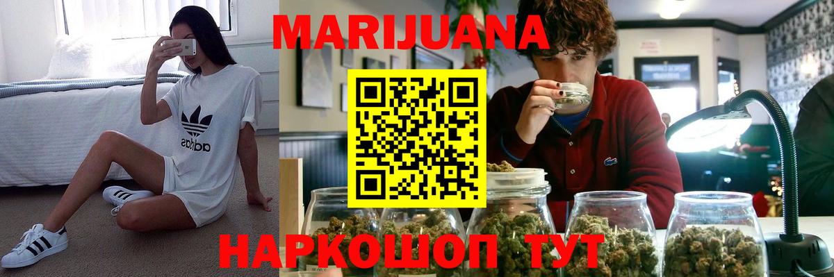 Бошки Шишки планчик Саки